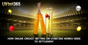 How online cricket betting on uvbet365 works odds to settlement