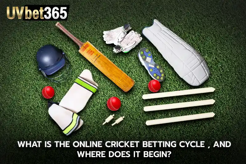 What is the online cricket betting cycle and where does it begin