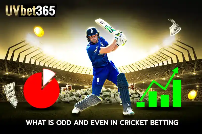 what is odd and even in cricket betting