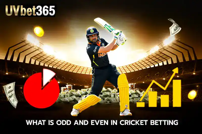 what is odd and even in cricket betting