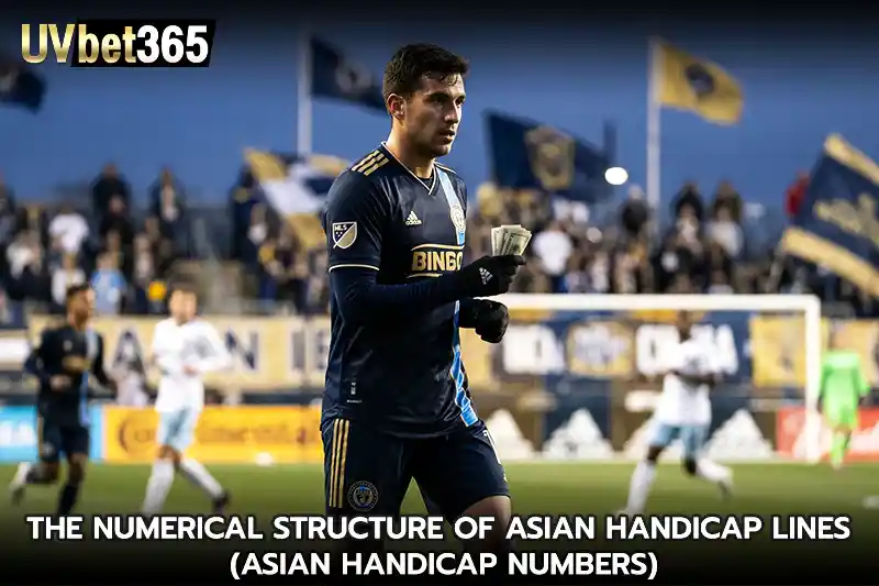 The numerical structure of Asian handicap lines Asian Handicap Numbers