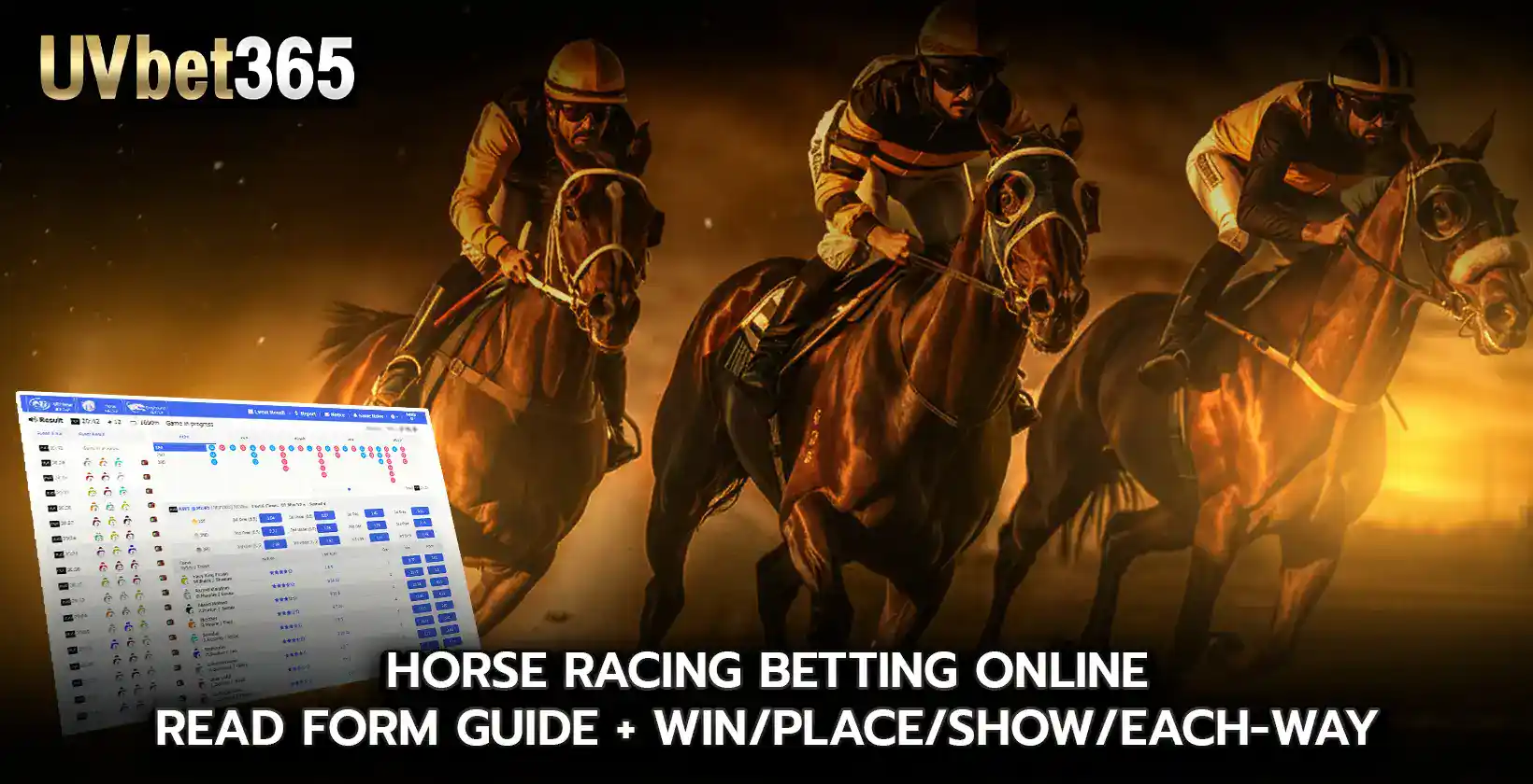 Horse racing betting online read Form Guide WinPlaceShowEach way