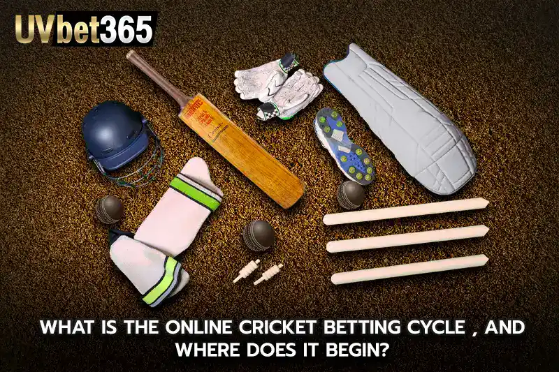What is the online cricket betting cycle and where does it begin