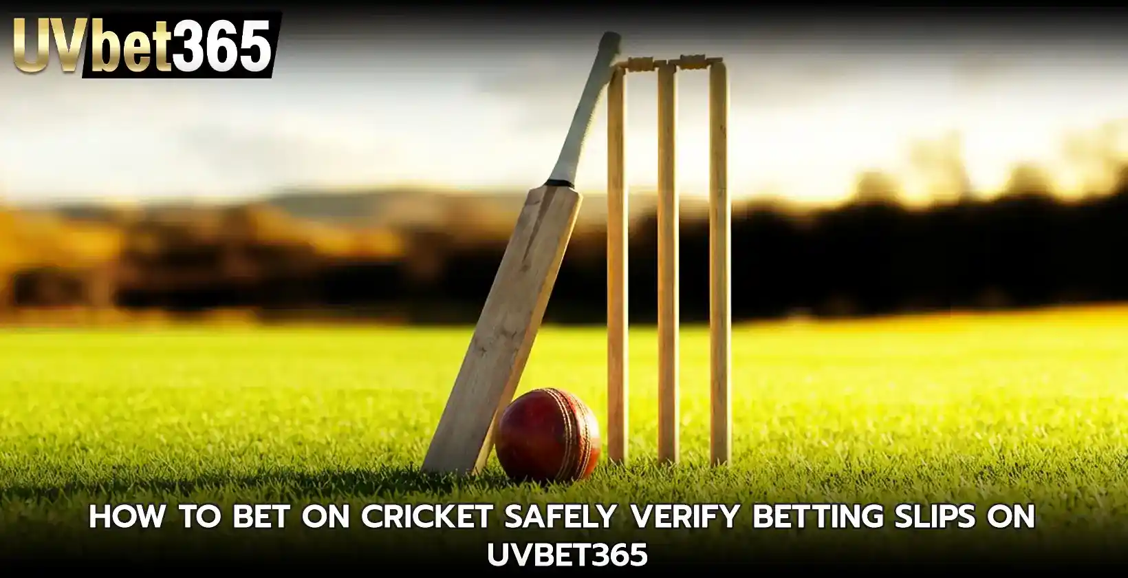 how to bet on cricket safely verify betting slips on uvbet365