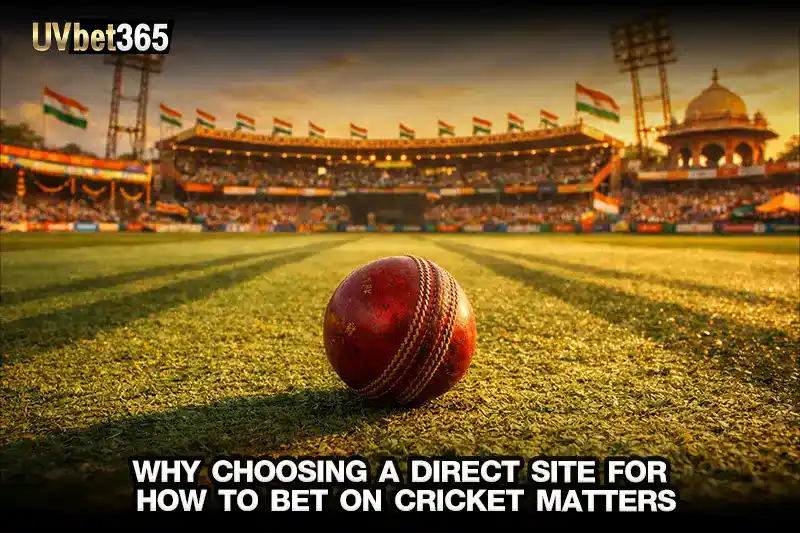 Why choosing a direct site for how to bet on cricket matters