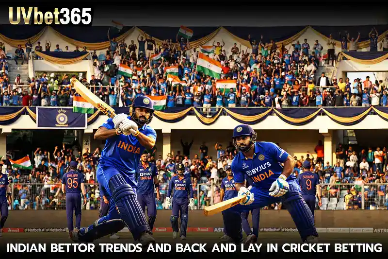 Indian Bettor Trends and back and lay in cricket betting